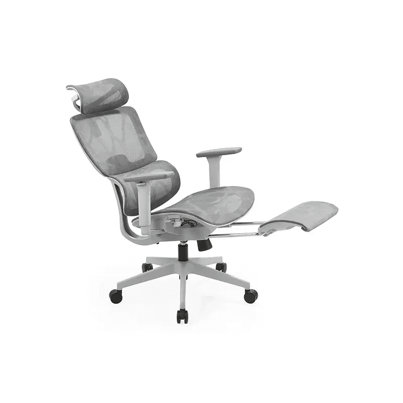 NOVA FOCUS Gris - Image 3